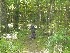 Tom riding trail